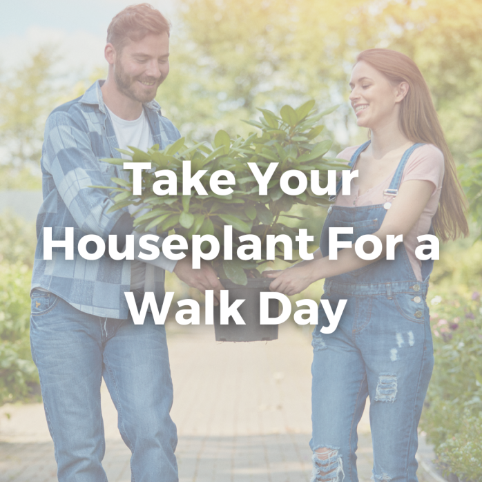 Take Your Houseplant for a Walk Day